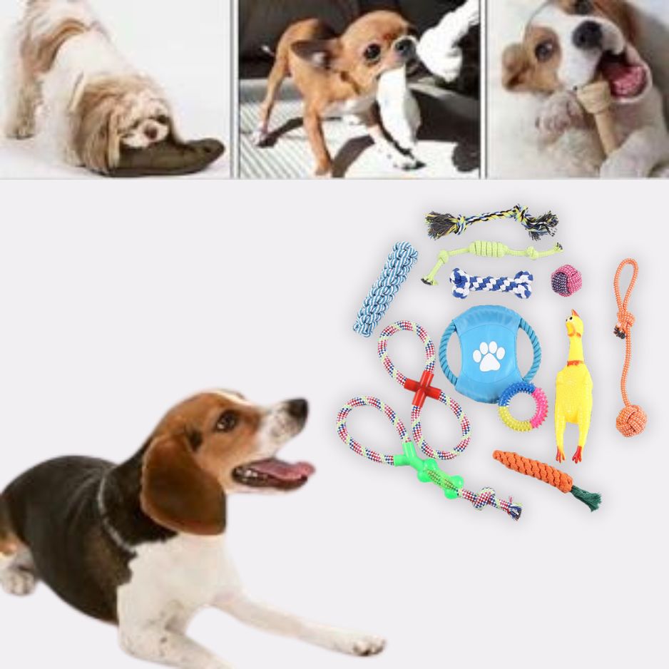 12-delige Honden Speelset | Kauwbestendig en Tandverzorging voor honden